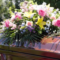 /album/pohrebnictvonezabudka/r1-jpg/